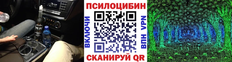 Псилоцибиновые грибы GOLDEN TEACHER  наркота  Валдай 